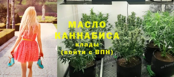 дмт Мегион