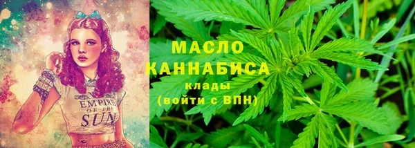дмт Мегион