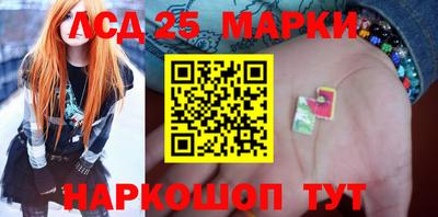 стаф Гатчина