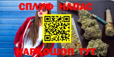 скорость Гагарин