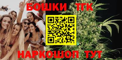 стаф Гатчина