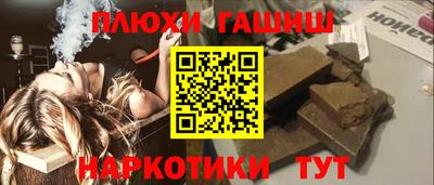 стаф Гатчина