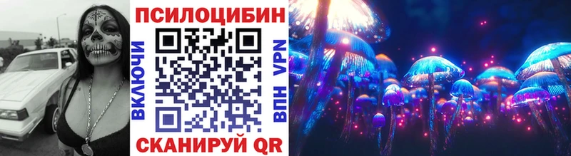 купить наркоту  Химки  кракен ссылки  площадка официальный сайт  Псилоцибиновые грибы MAGIC MUSHROOMS 