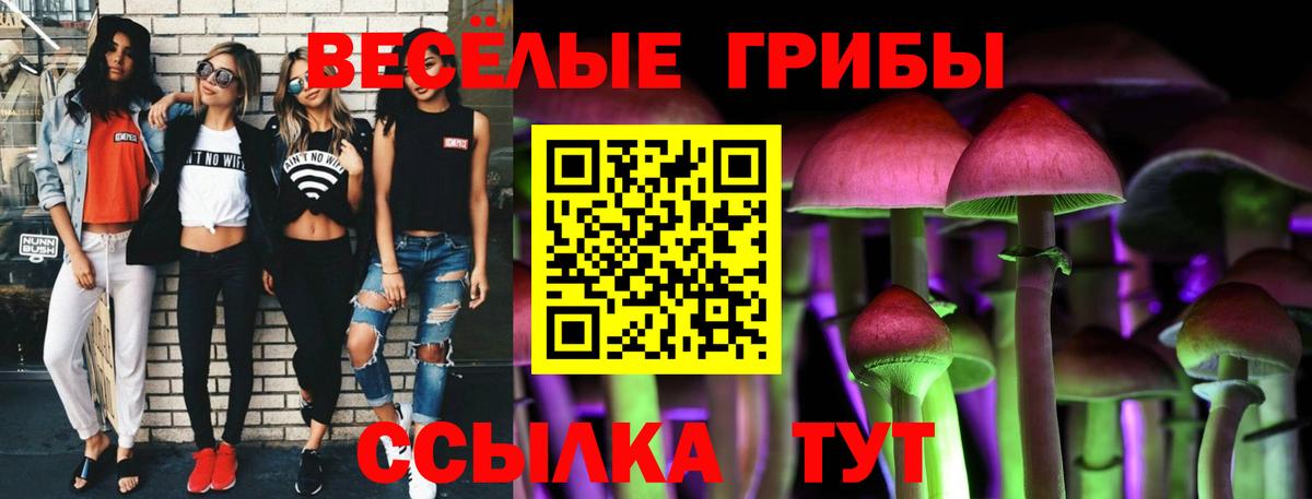 Псилоцибиновые грибы GOLDEN TEACHER Химки