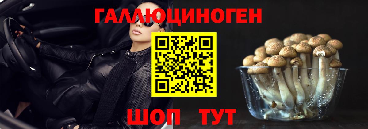 Галлюциногенные грибы прущие грибы  как найти   Химки 